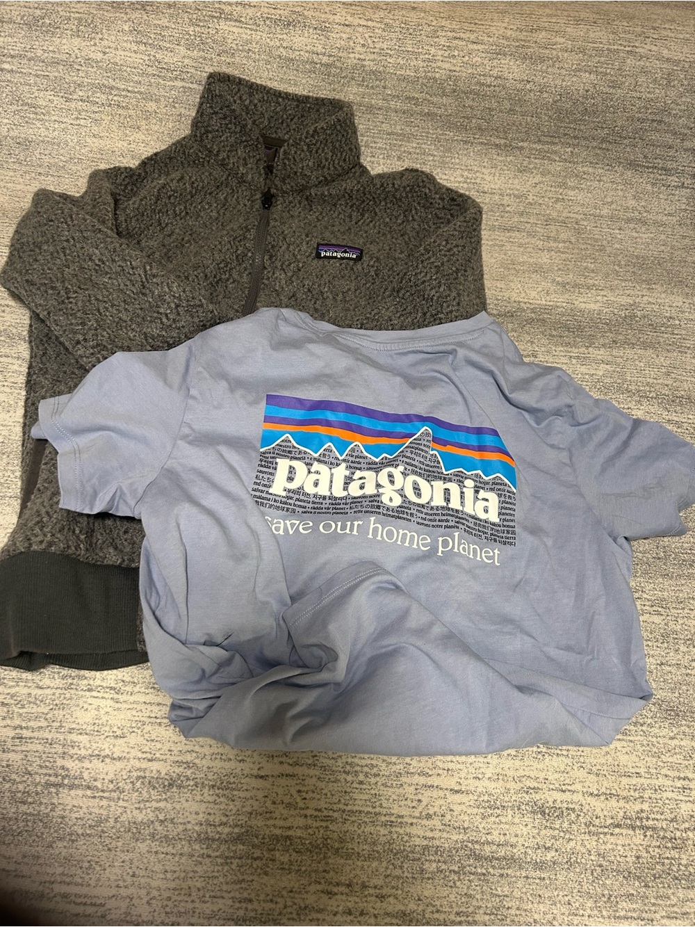 Patagonia unisexLight Blue Short Sleeve Logo Tee with Multicolor Mountain Graphi